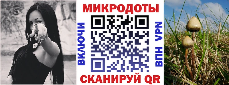 Псилоцибиновые грибы мицелий  дарнет шоп  Пионерский 